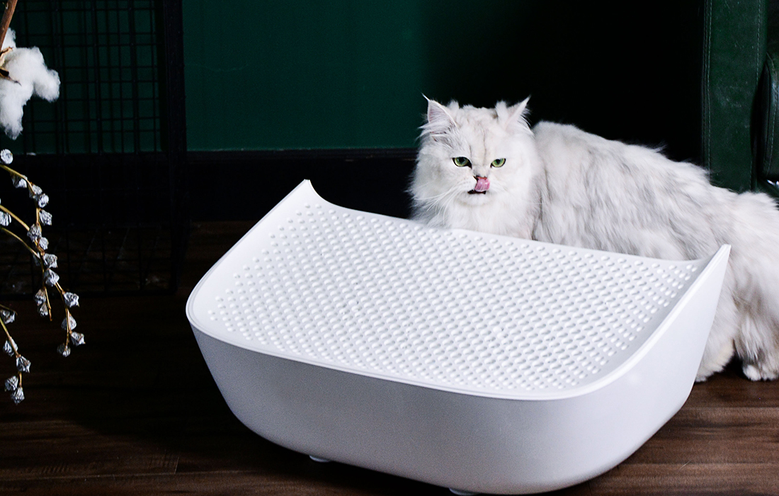 schody do kuwet CatLink Scooper