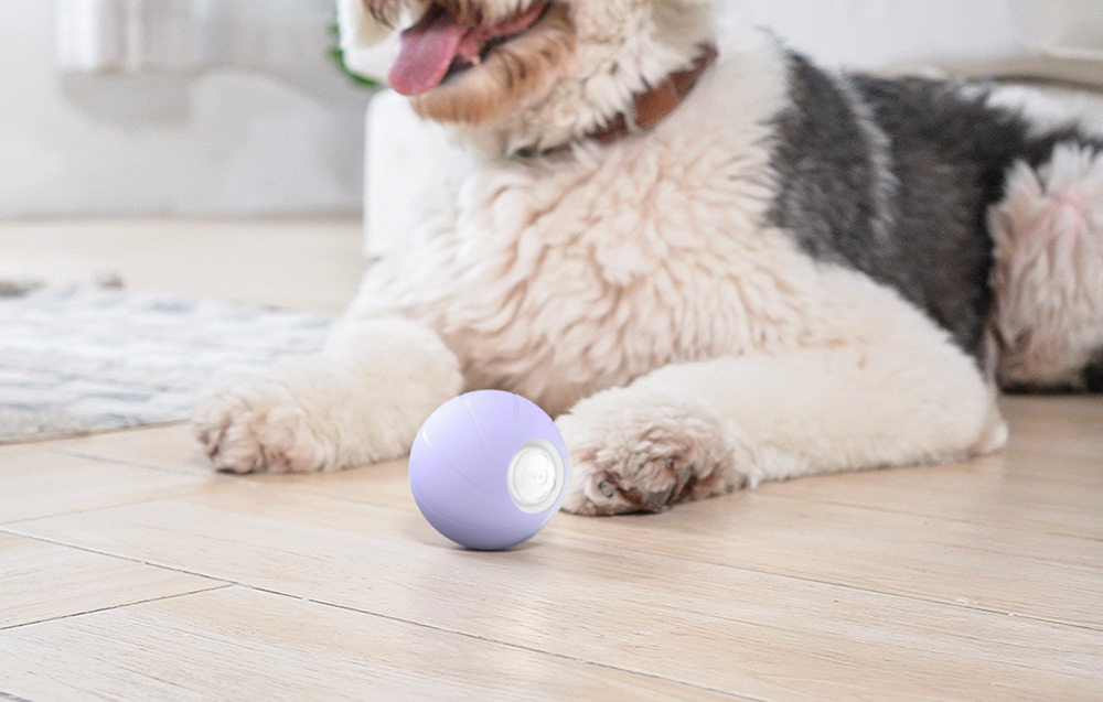 Interaktywna piłka dla zwierząt Cheerble Ball PE (Fiolet)