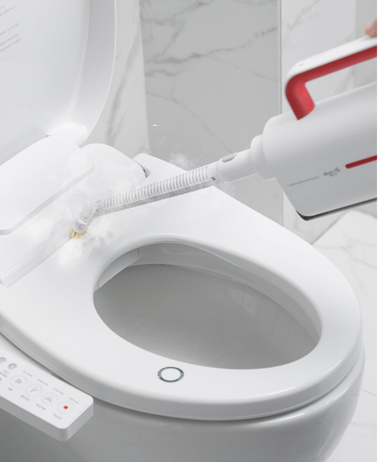 wielofunkcyjne urządzenie parowe 5w1 Deerma ZQ610