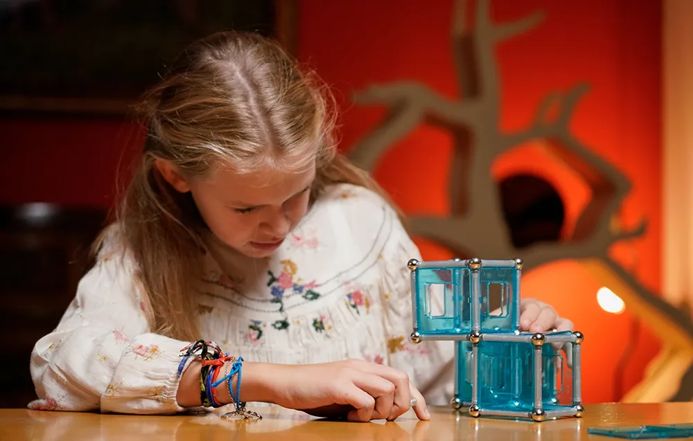 Klocki magnetyczne Pro-L Panels 50 elementów GEOMAG GEO-022