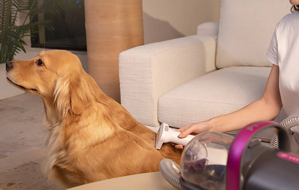 Zestaw do pielęgnacji sierści zwierząt Petkit AirClipper 5w1