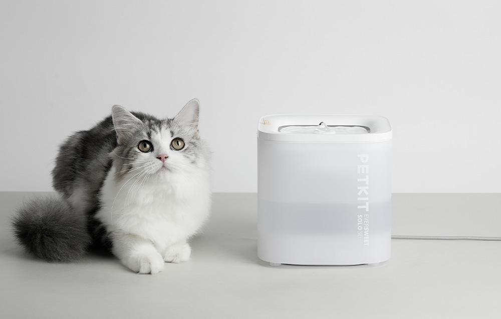 fontanna/poidło dla psa i kota PetKit Eversweet SOLO SE