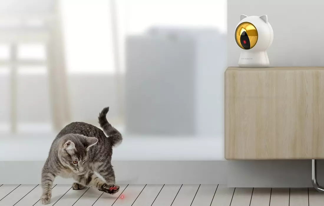 inteligentny laser do zabawy dla psa / kota Petoneer Smart Dot