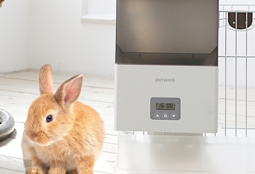 Automatyczny dozownik do karmy PetWant F4