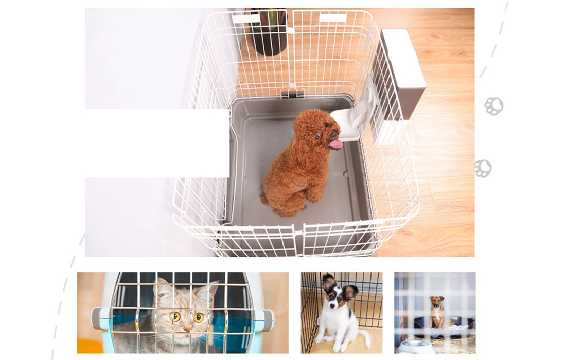 Automatyczny dozownik do karmy PetWant F4