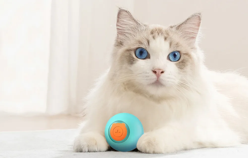 Interaktywna piłka dla kota Rojeco